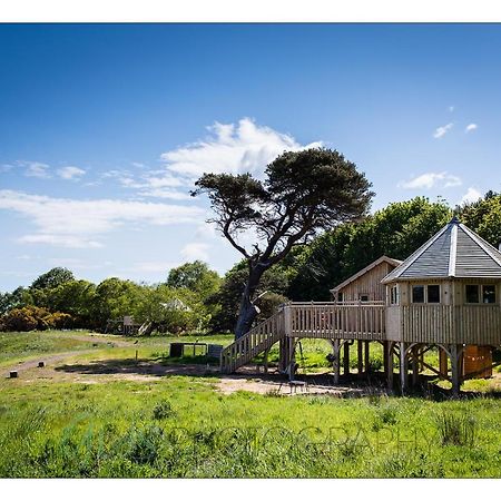 Вілла Harvest Moon Treehouse Данбар Екстер'єр фото