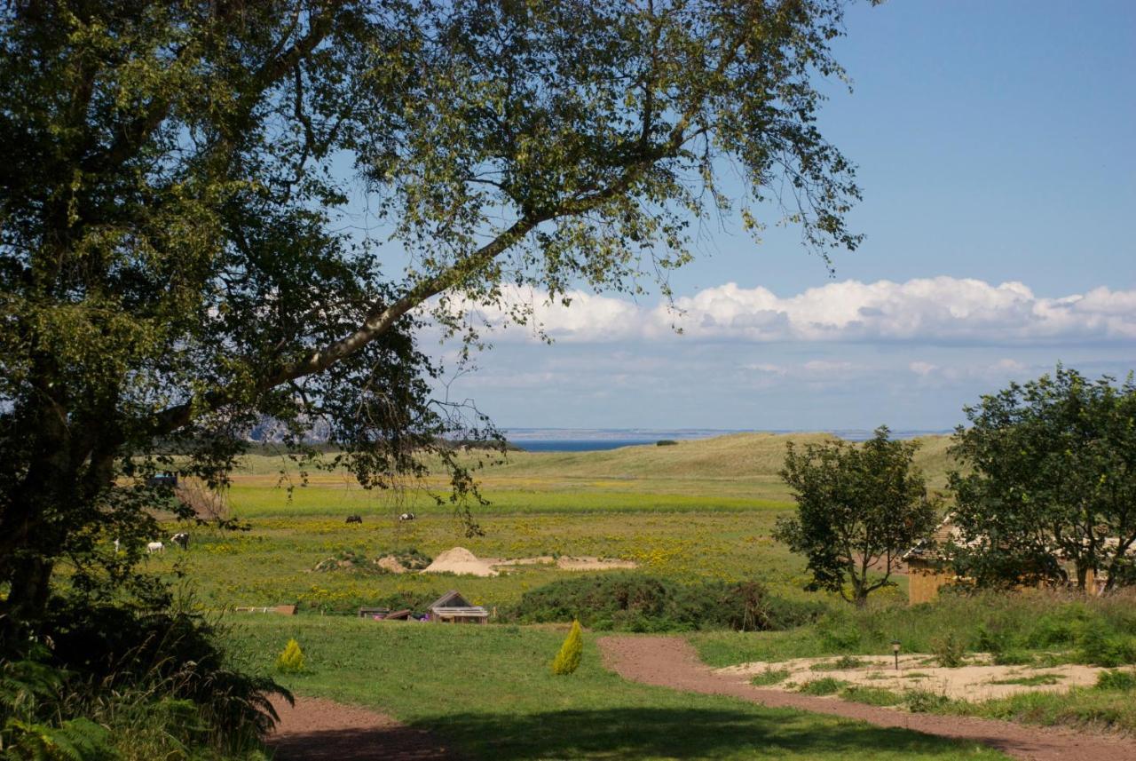 Вілла Harvest Moon Treehouse Данбар Екстер'єр фото